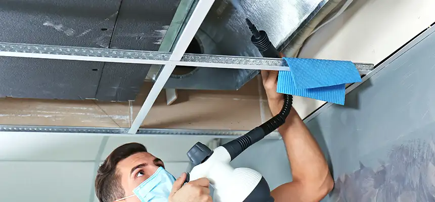 Our Air Duct Rodent Removal Services in Lafayette, LA