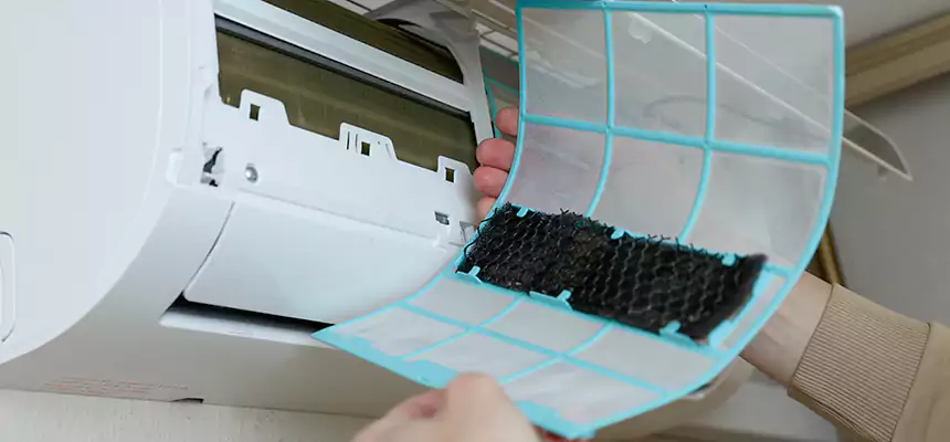 Gentle Ductwork Odor-Control Pet Dander Duct Cleaning in Lafayette, LA