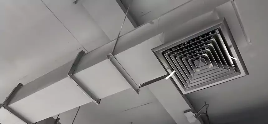 Our Rodent Droppings In Vents Services in Lafayette, LA