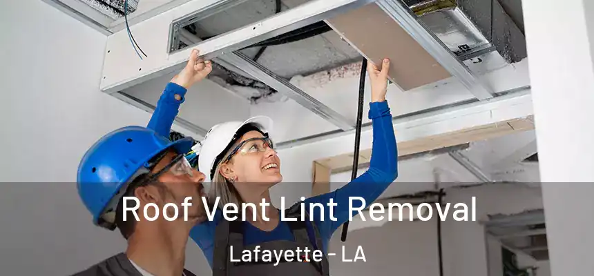  Roof Vent Lint Removal Lafayette - LA