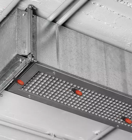 Affordable Insect Removal from Air Ducts in Lafayette, LA