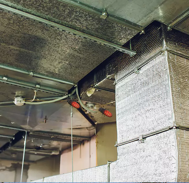 Why Homeowners & Businesses Trust Us Lafayette, LA?